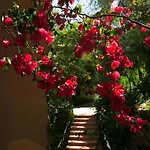 מלון Zeytinada טורבה