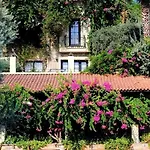 Zeytinada טורבה