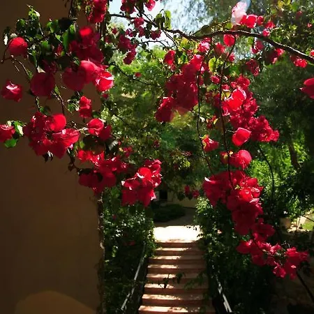 Hotel Zeytinada Torba