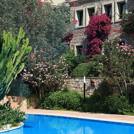 Zeytinada Hotel Torba