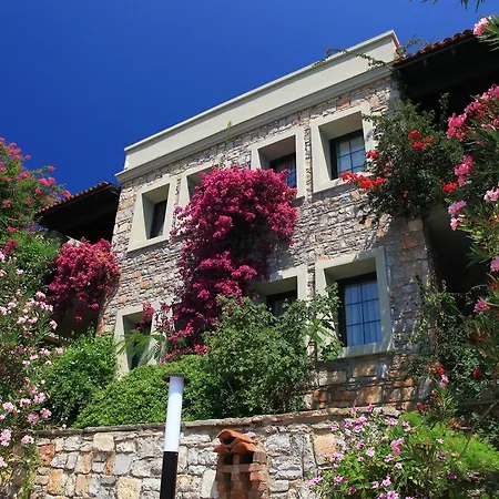 Hotel Zeytinada Torba