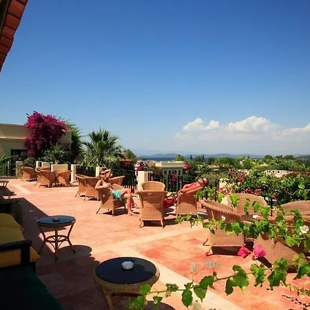 Zeytinada 4* Τόρμπα