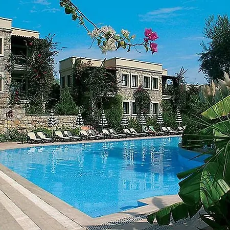 Zeytinada