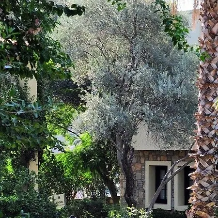 Hotell Zeytinada Torba