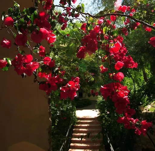 Hotel Zeytinada Torba