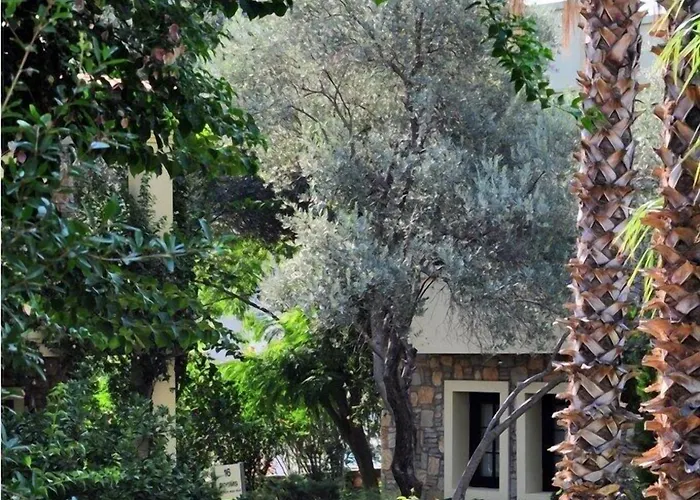 Hotel Zeytinada Torba