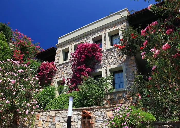 Hotel Zeytinada Torba