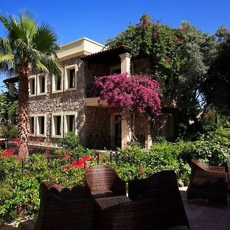 Zeytinada 4* Торба