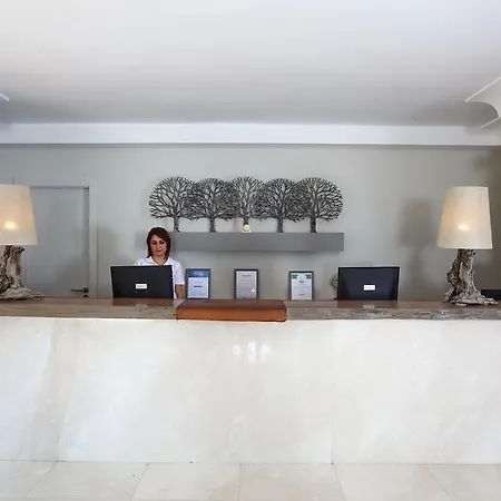 ホテル Zeytinada 4*