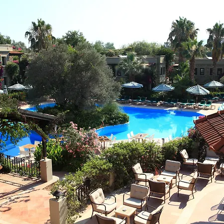 Zeytinada 4* トルバ