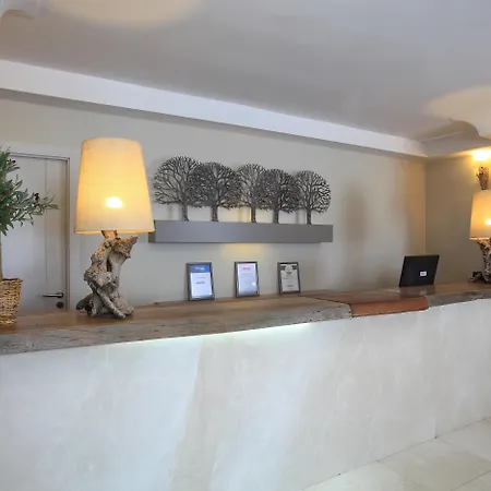 Hotel Zeytinada