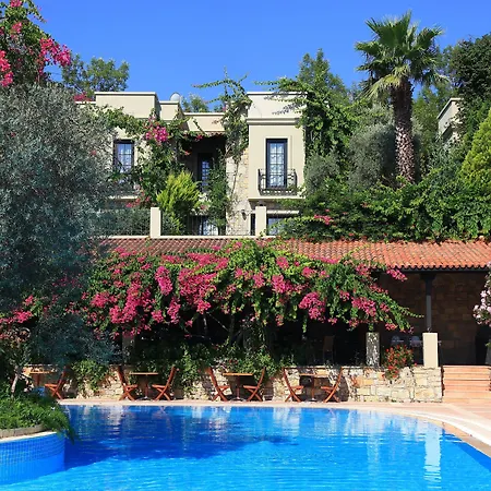 Zeytinada 4* トルバ