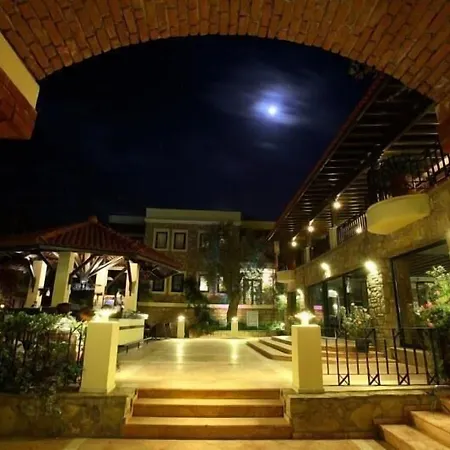 Zeytinada ホテル トルバ