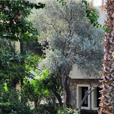 ホテル Zeytinada トルバ