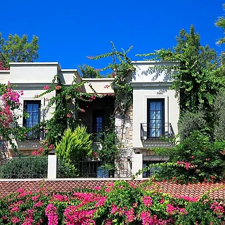 Hotel Zeytinada Torba