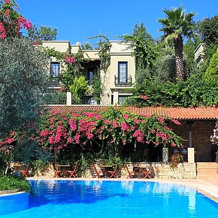 Zeytinada Hotel 4*