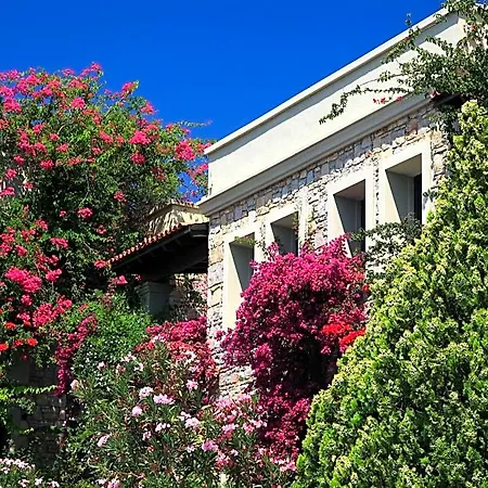 Zeytinada Hotel Torba