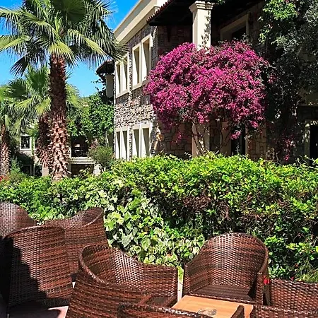 Zeytinada 4*