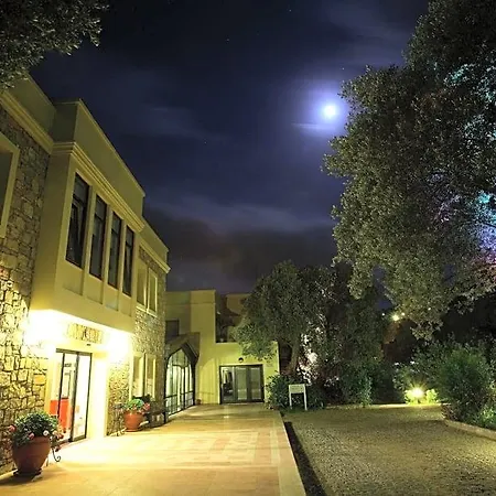 Hotel Zeytinada 4*