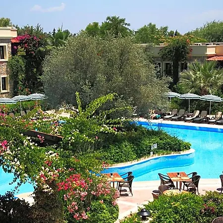 Zeytinada 4* Torba