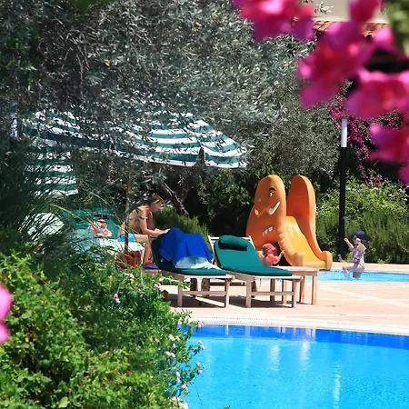 Zeytinada