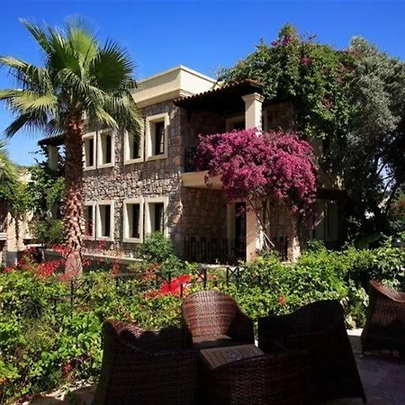 Zeytinada Torba
