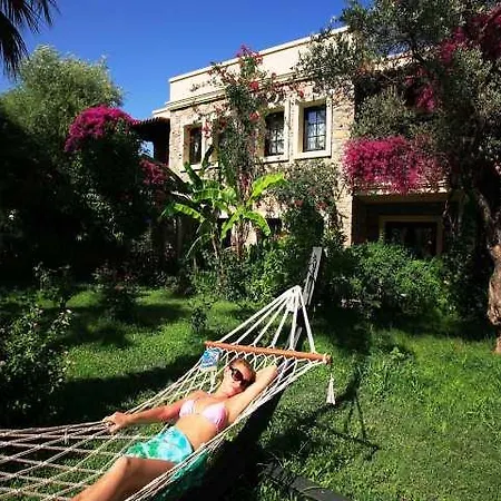Hotel Zeytinada 4*