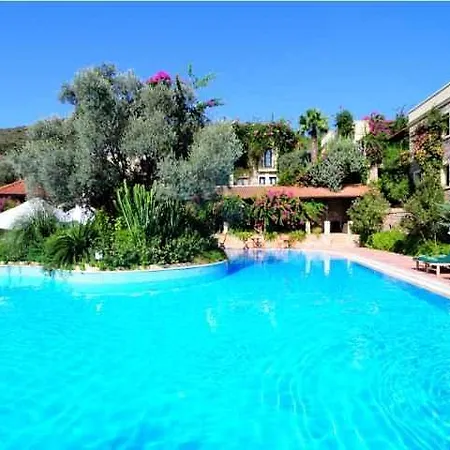 Zeytinada 4* Torba
