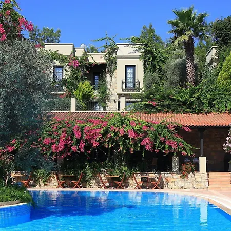 Zeytinada Hotel