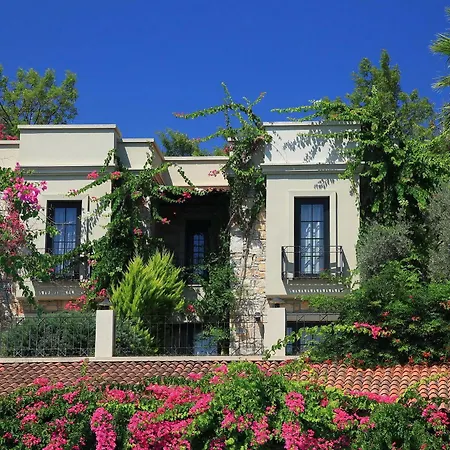 Zeytinada Hotel