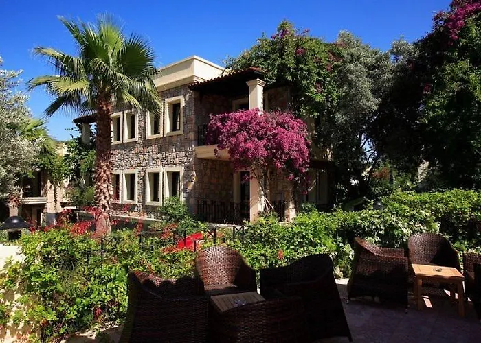 Zeytinada 4* توربا