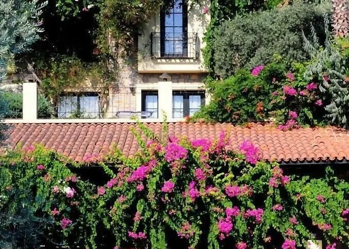 Zeytinada توربا