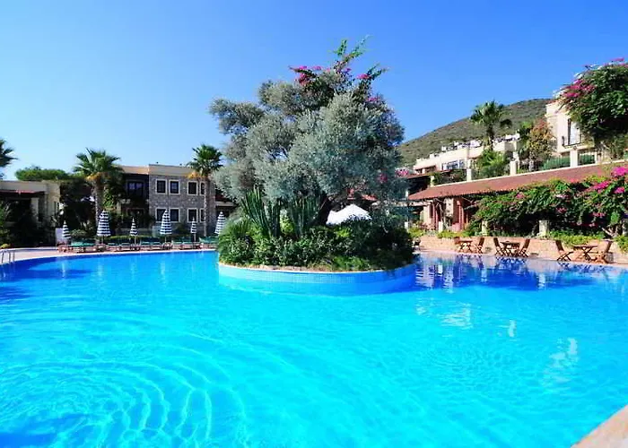 فندق Zeytinada توربا